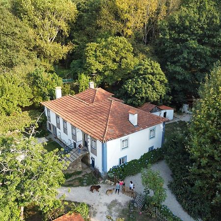 Associacao Quinta Das Relvas Branca Ngoại thất bức ảnh